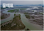 수온 위성영상